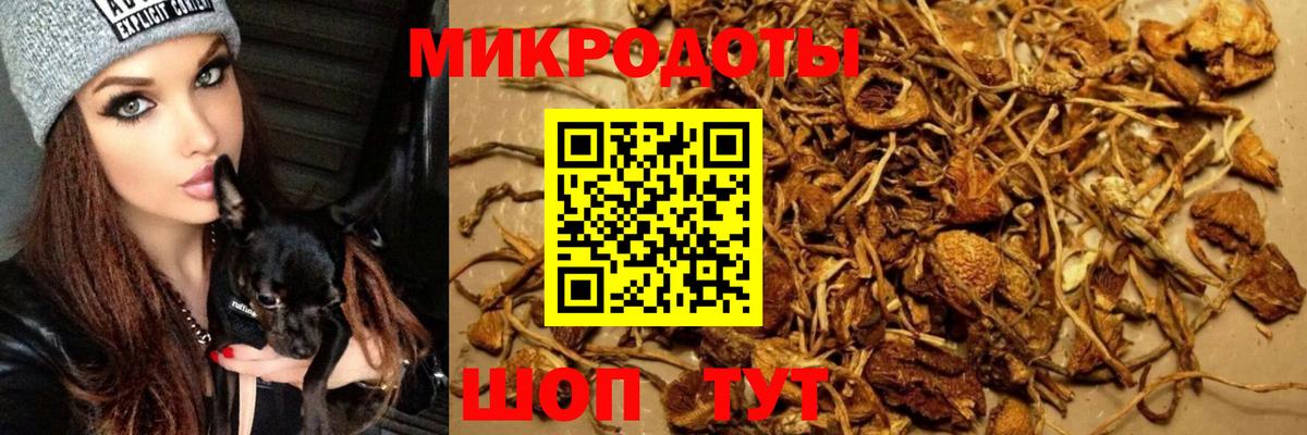 Псилоцибиновые грибы Magic Shrooms Кудрово